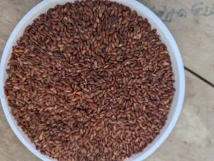 [LAL-CHAL-2KG-FULL] 🌾আমনের লাল চাল (Aman Red Rice - Half Fiber / Full Fiber) (ফুল ফাইবার, ২ কেজি)
